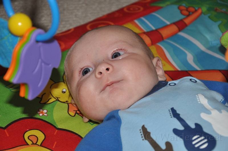 William's Tenth Week 19.jpg